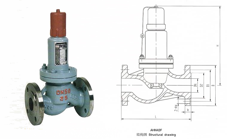 AHN42F安全回流阀(图1)