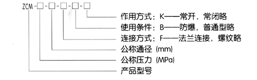 ZCM煤气电磁阀(图1)