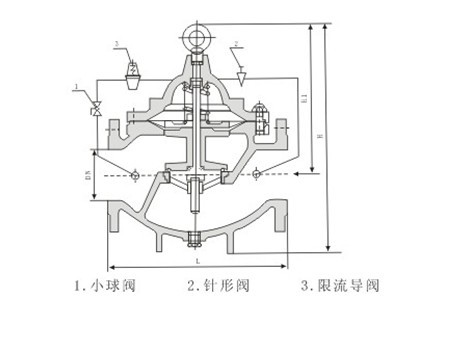 LH45X限流止回阀(图1)