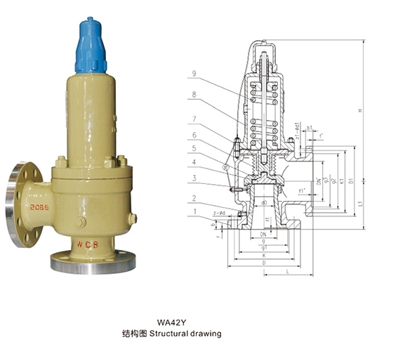 WA42Y波纹管安全阀(图1)