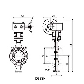 D363H美标焊接蝶阀(图1)