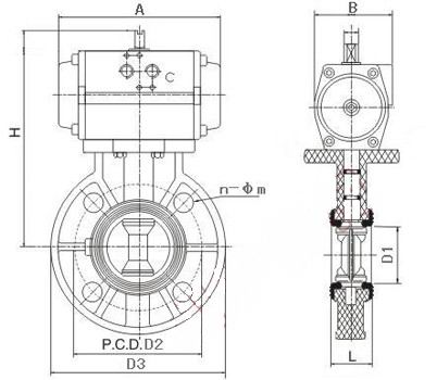 D671X-10S气动塑料蝶阀(图1)