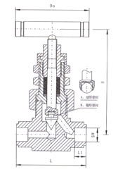 SS-6NBSW8T美标焊接针型阀(图1)