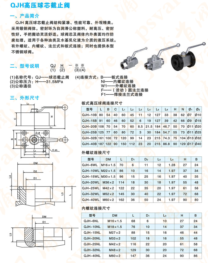 球芯截止阀(图1)